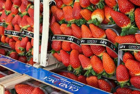 Frutta e Verdura Hassan